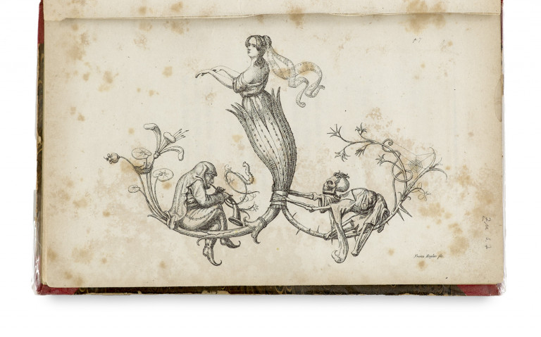 Bild:
                        Los 293