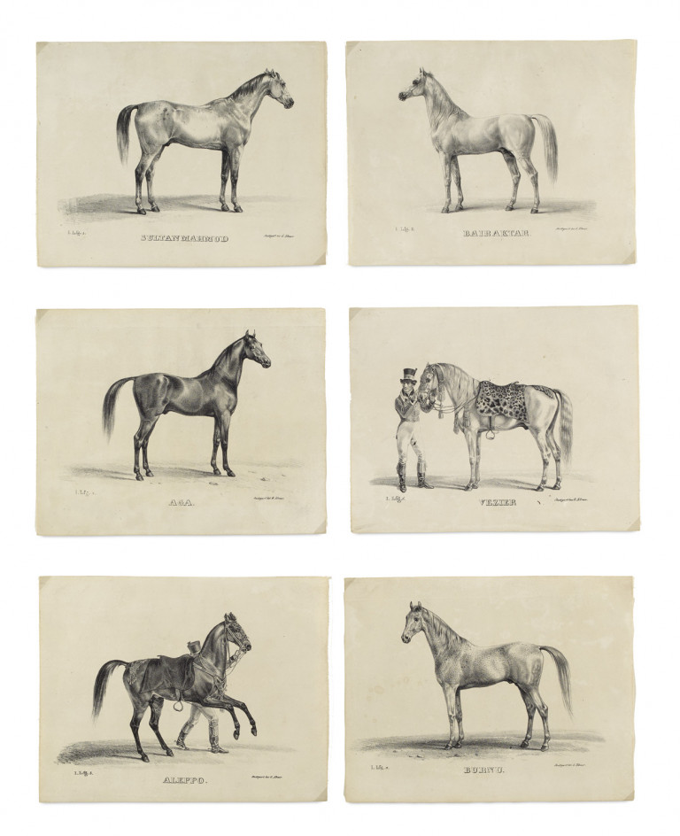 Image:
                        Lot 1362