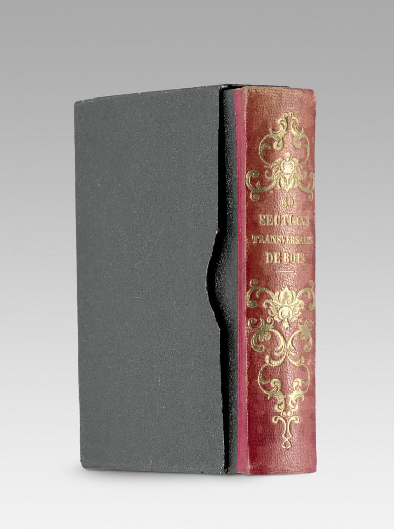 Bild:
                        Los 935