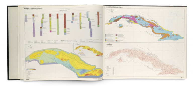 Bild:
                        Los 1196