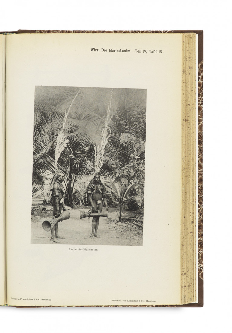 Bild:
                        Los 1205