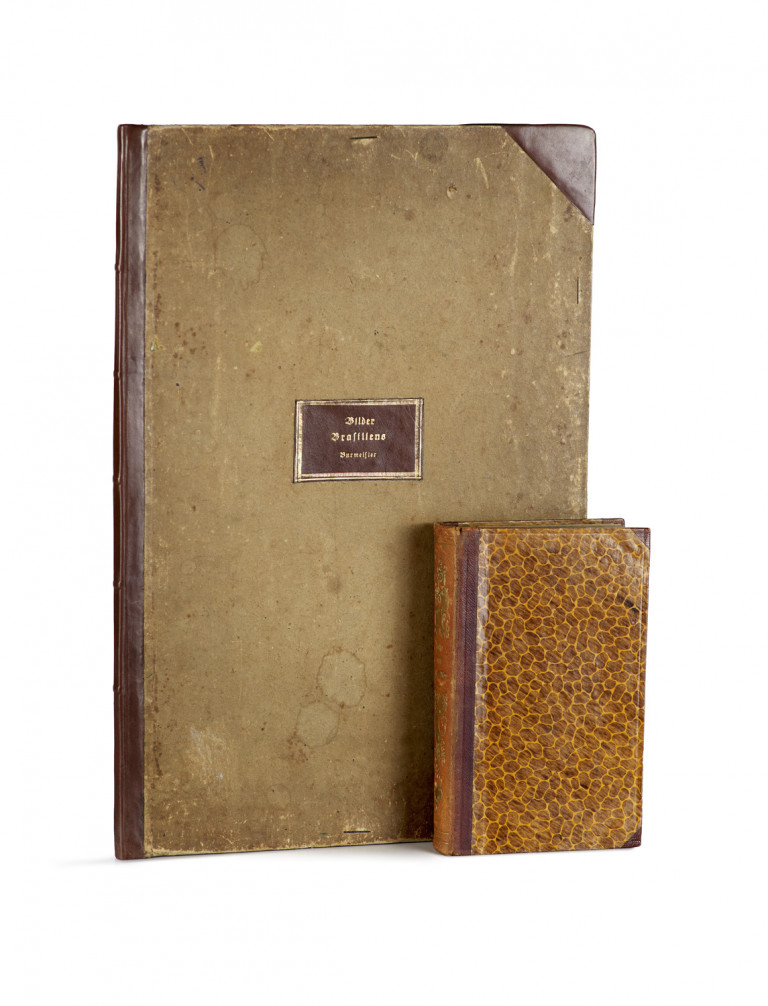 Image:
                        Lot 1224