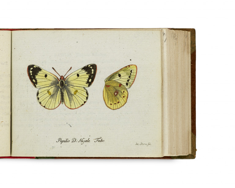 Bild:
                        Los 1019