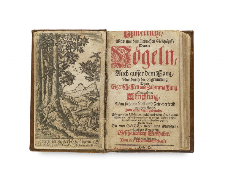 Image:
                        Lot 1433