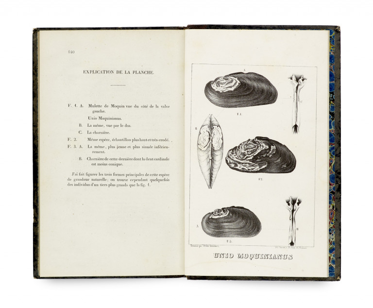 Bild:
                        Los 1017