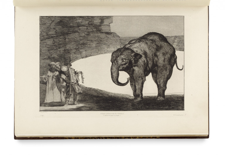 Image:
                        Lot 593