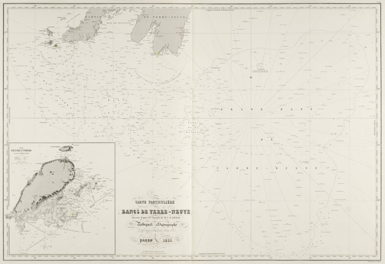 Image:
                        Lot 1195