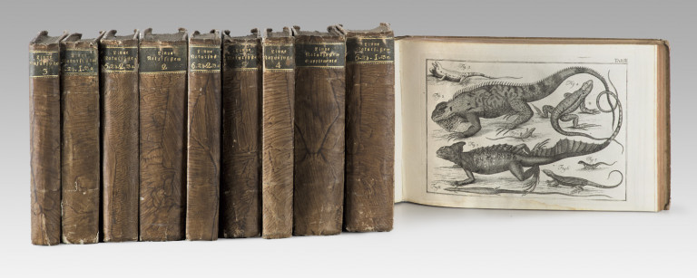 Image:
                        Lot 1009