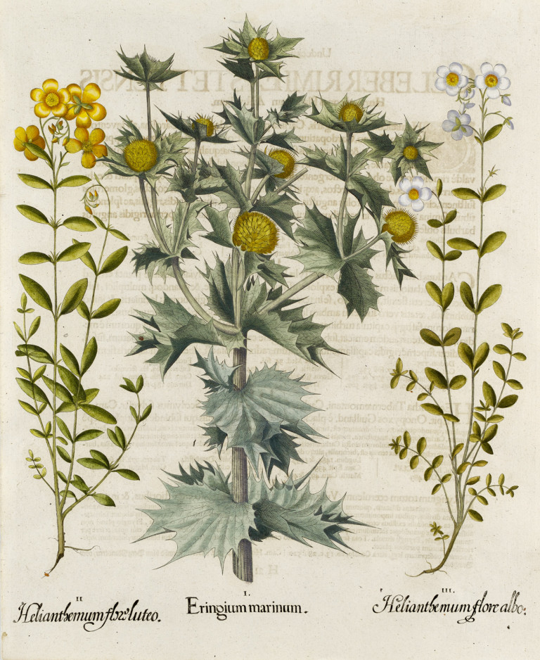 Bild:
                        Los 1071