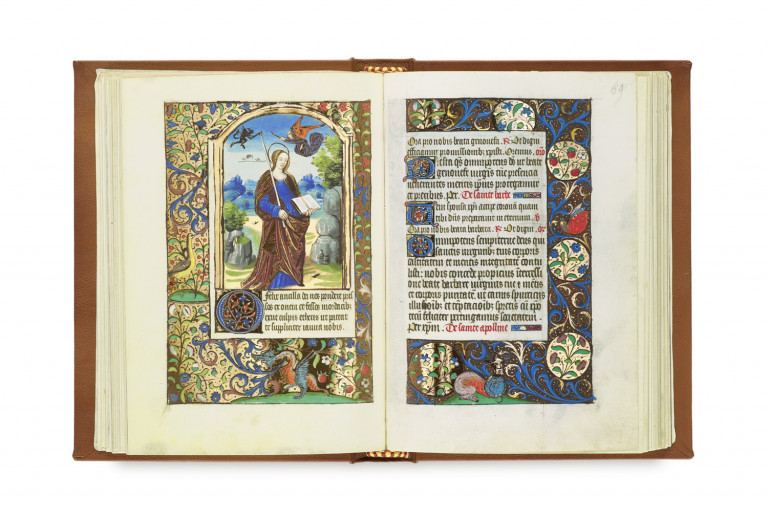 Bild:
                        Los 245