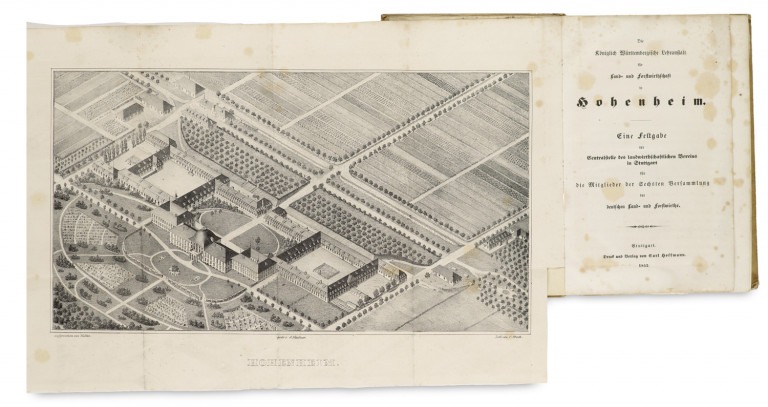 Image:
                        Lot 1238