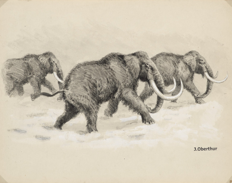 Image:
                        Lot 1059