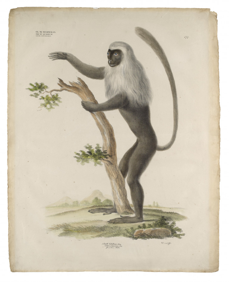 Bild:
                        Los 1008