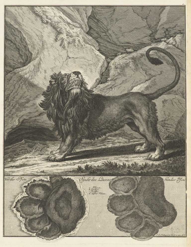 Image:
                        Lot 1503