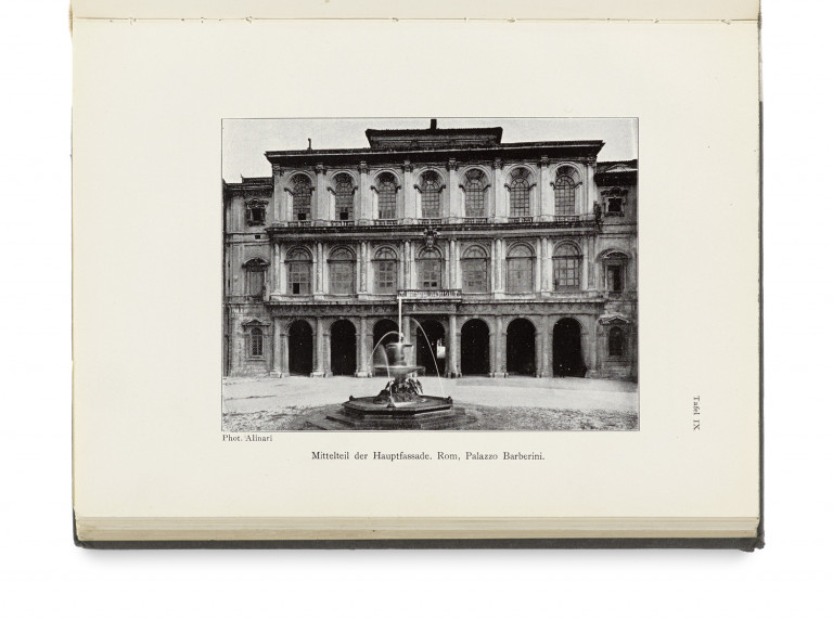 Image:
                        Lot 875