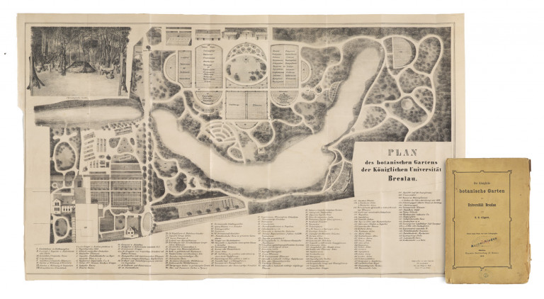 Bild:
                        Los 928