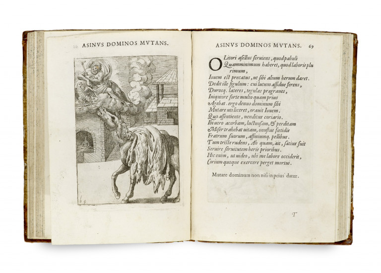 Image:
                        Lot 6