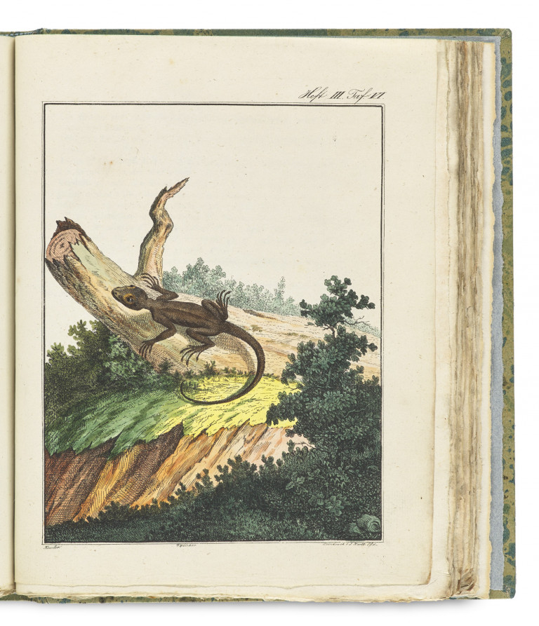 Bild:
                        Los 1027