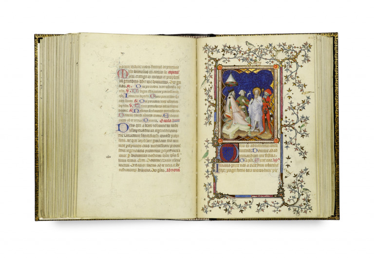 Bild:
                        Los 242