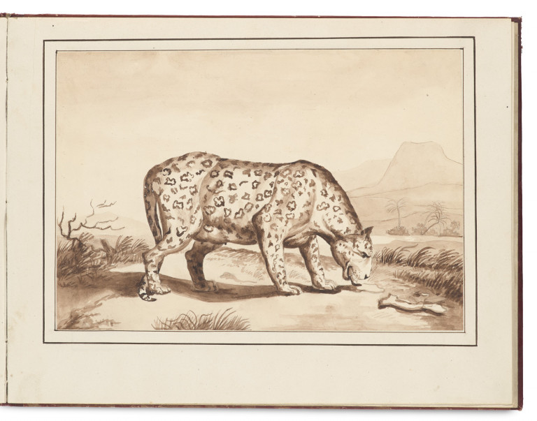 Image:
                        Lot 1057