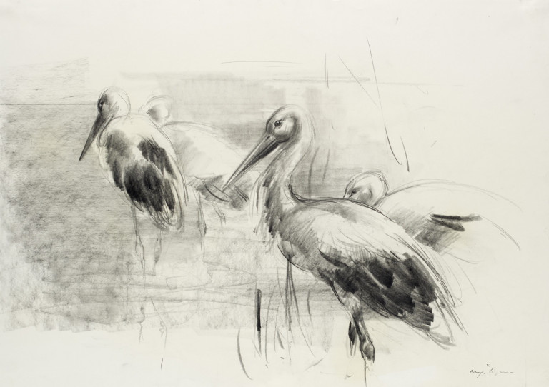 Image:
                        Lot 1066