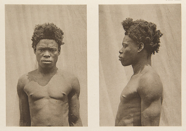 Image:
                        Lot 1112