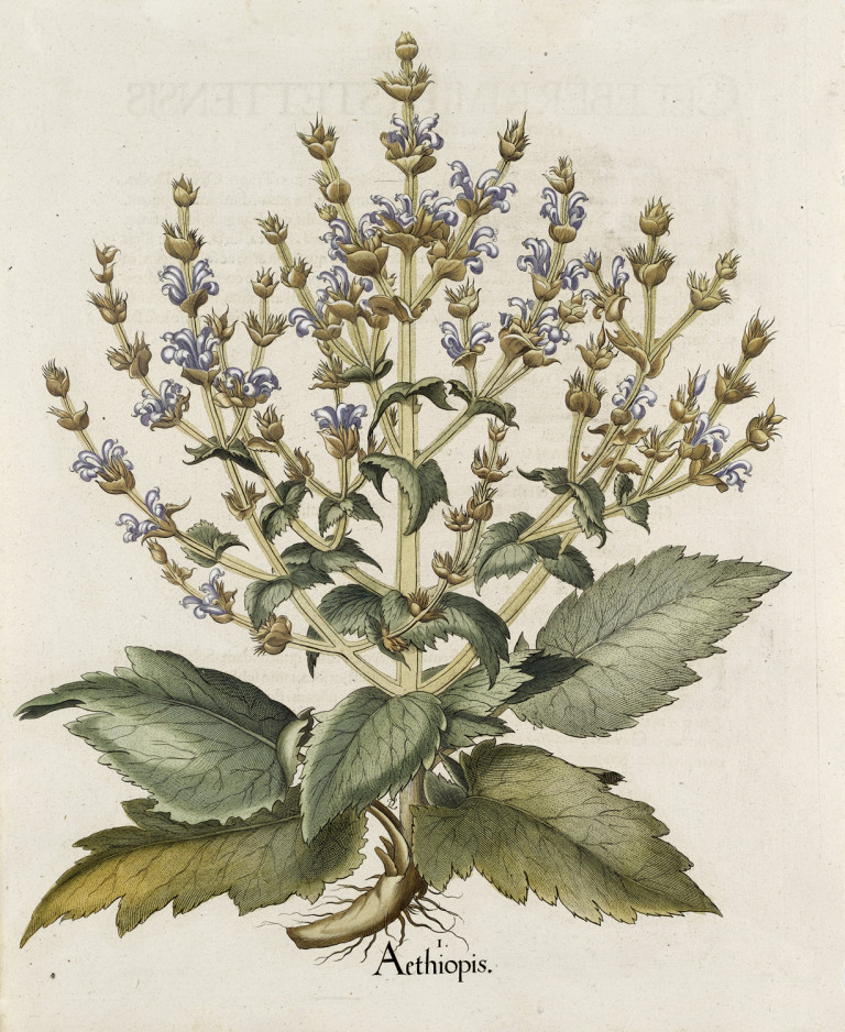 Bild:
                        Los 1073