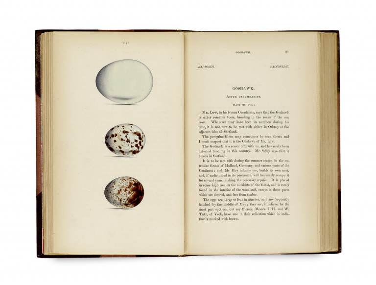 Image:
                        Lot 1049