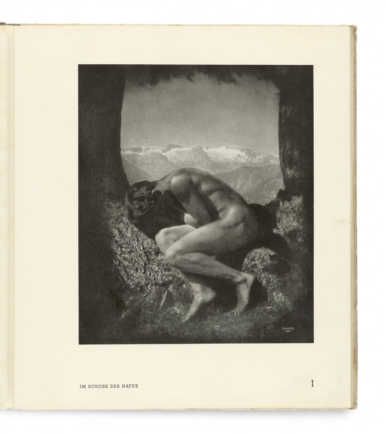 Image:
                        Lot 739