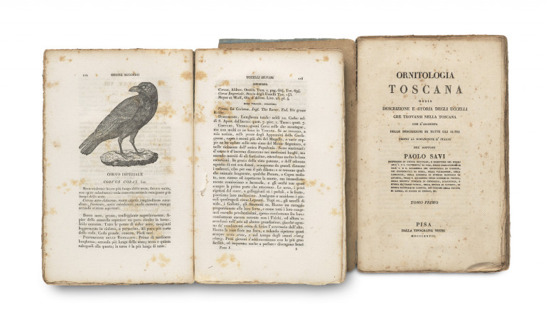 Bild:
                        Los 1053