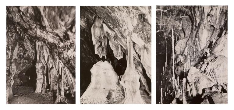 Bild:
                        Los 947