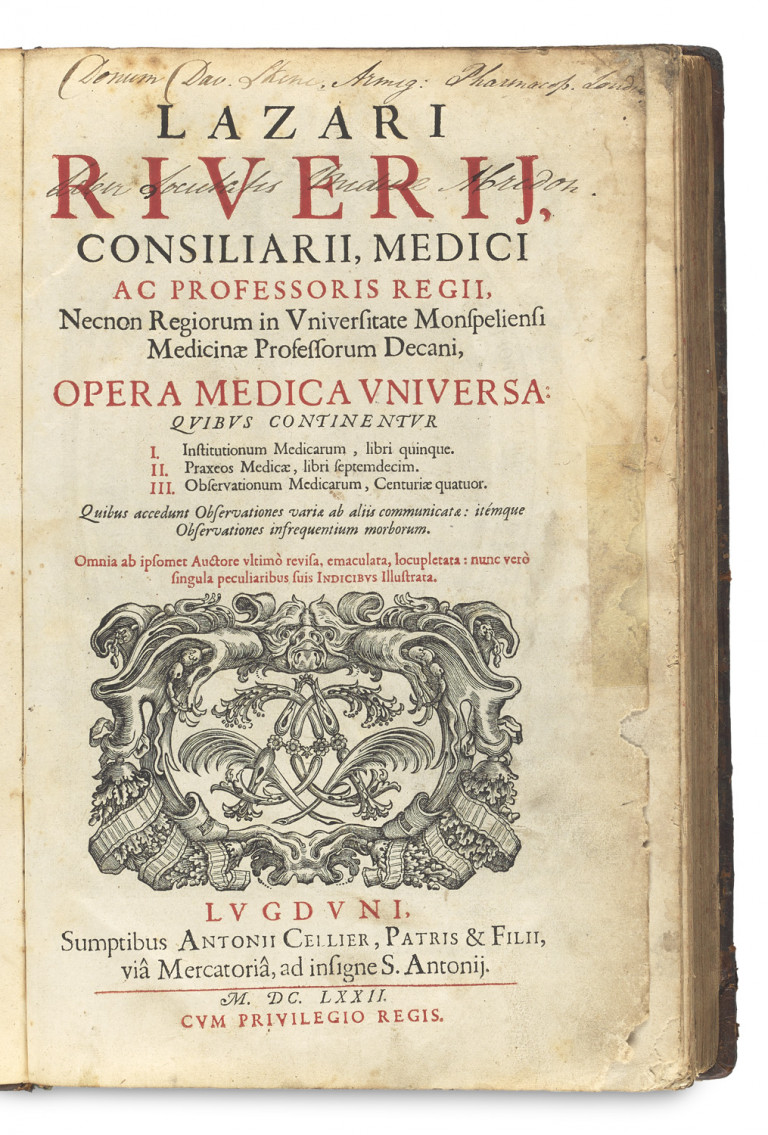 Image:
                        Lot 990