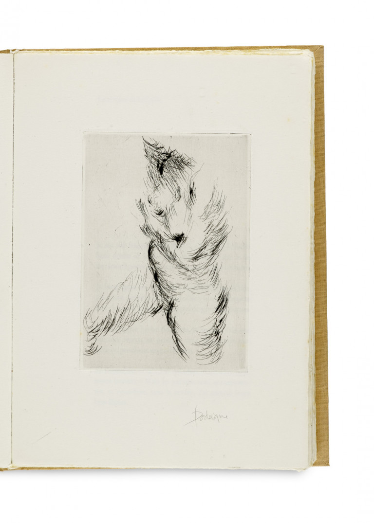 Image:
                        Lot 556