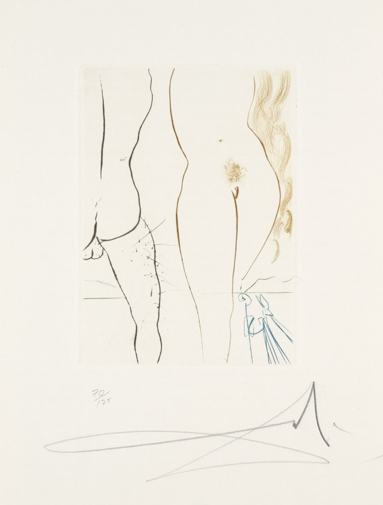 Image:
                        Lot 205
