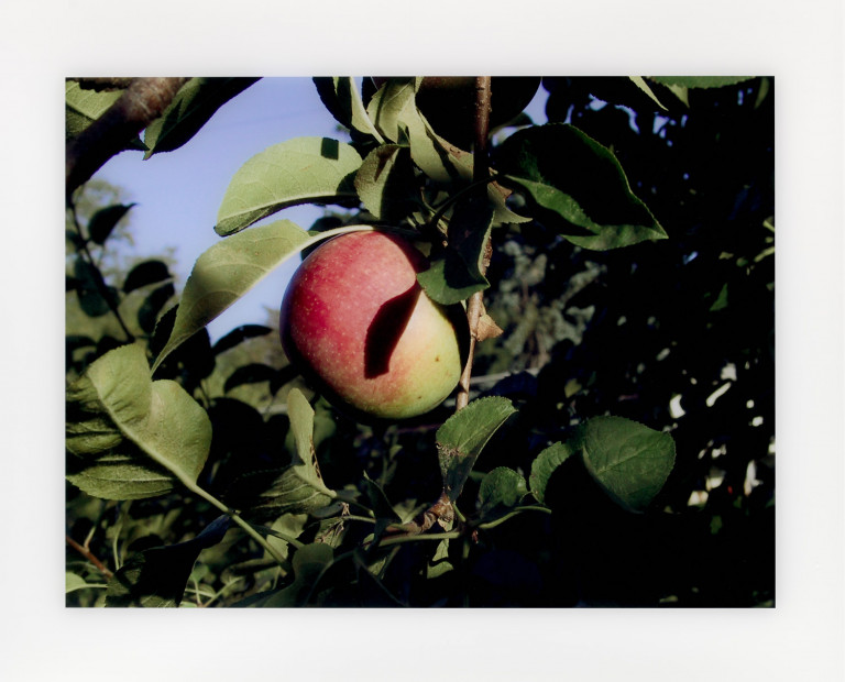 Image: 1