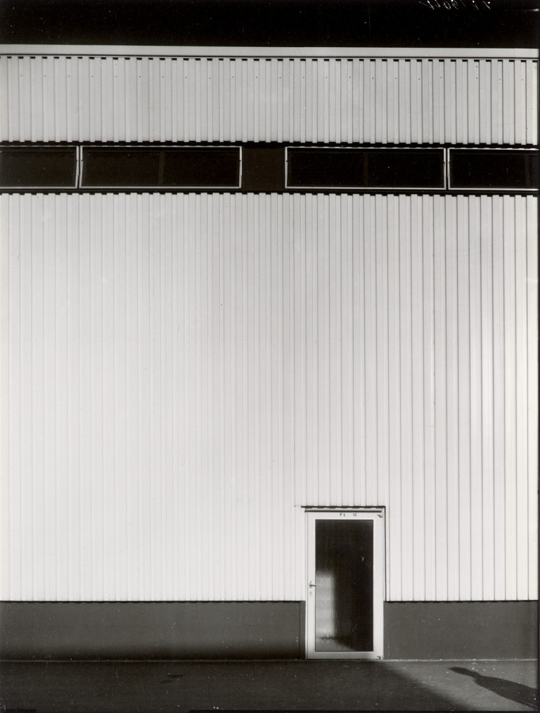 Image:
                        Lot 486