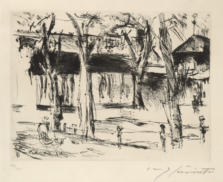 Image:
                        Lot 885