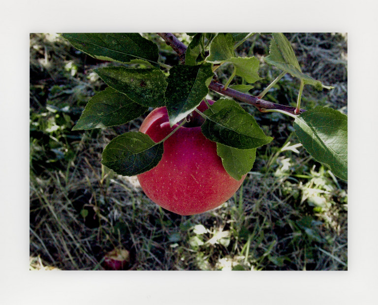 Image:
                        Lot 526