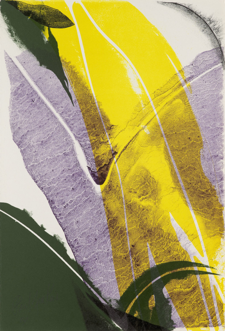 Image: 6
