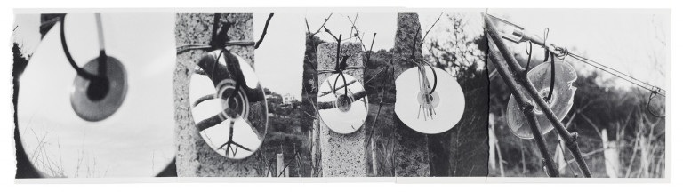 Image:
                        Lot 461