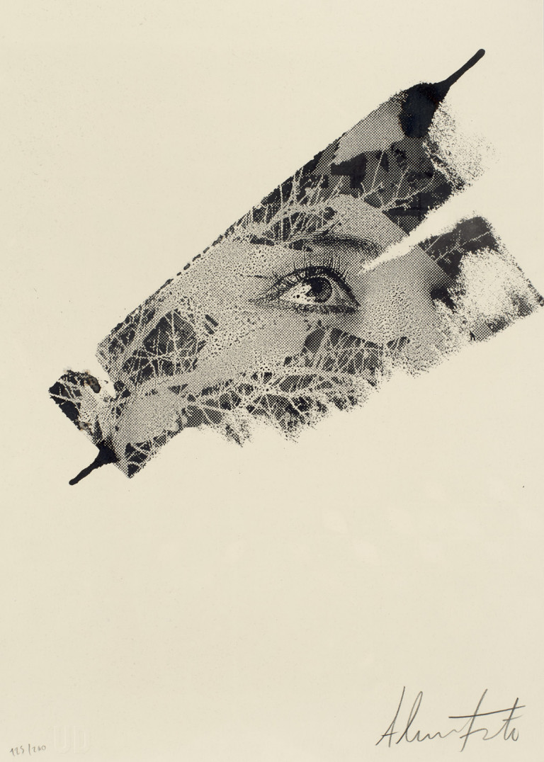 Image:
                        Lot 355