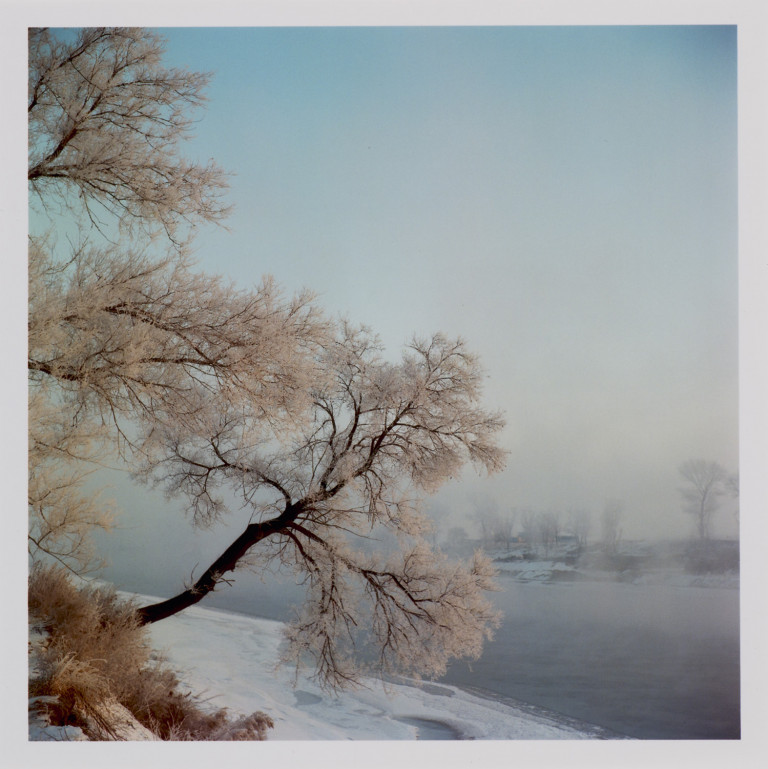 Image:
                        Lot 523