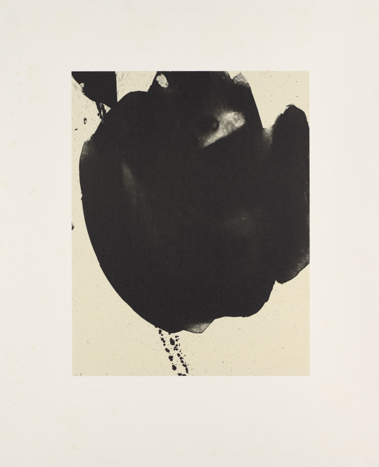 Image:
                        Lot 546