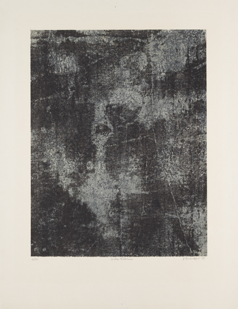 Image:
                        Lot 184