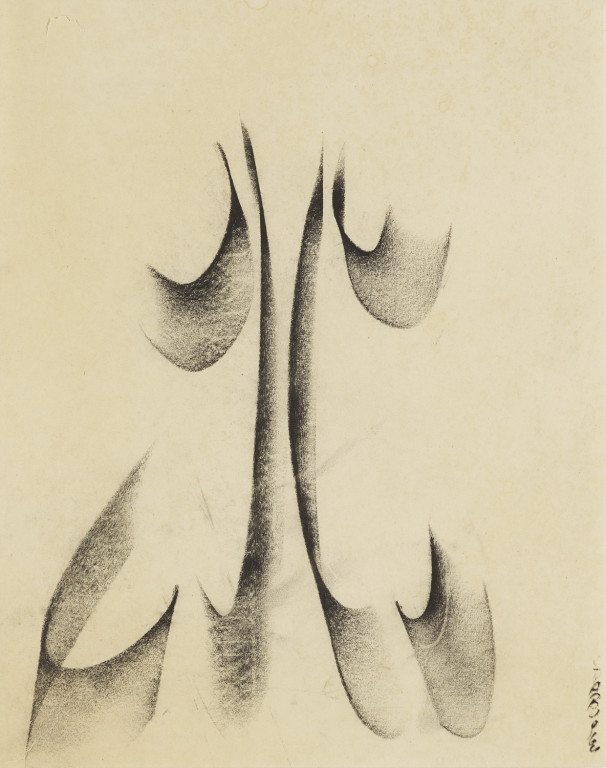 Image:
                        Lot 1192