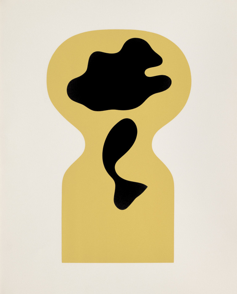 Image:
                        Lot 776