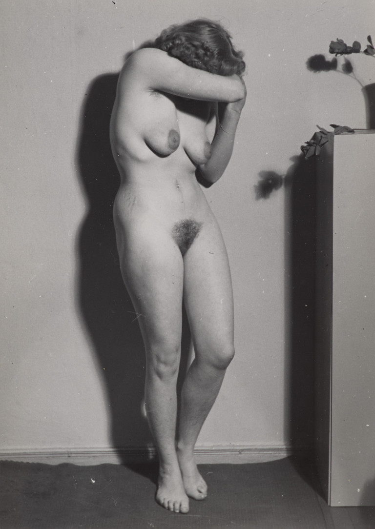 Image:
                        Lot 466