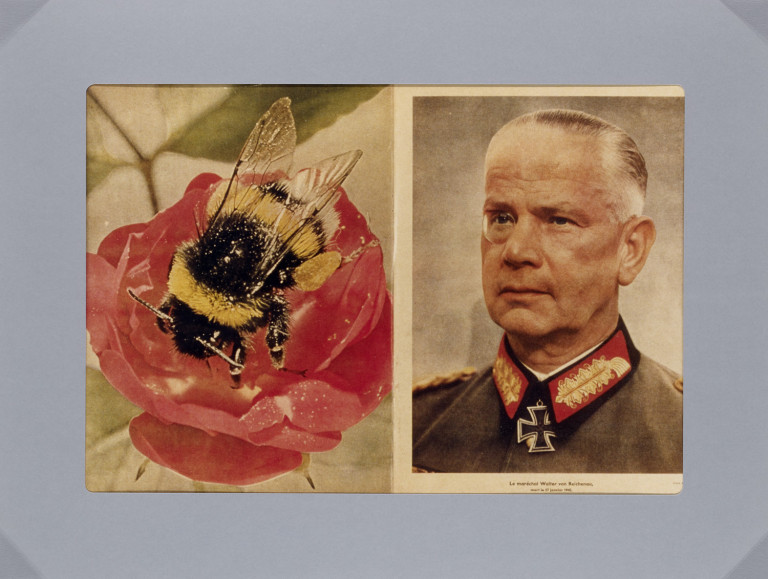 Bild:
                        Los 451