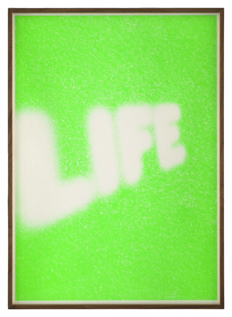 Image:
                        Lot 312