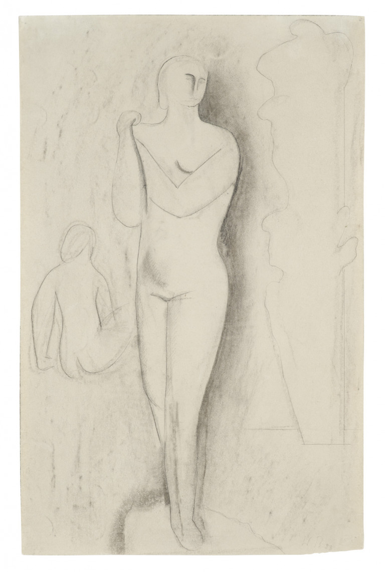 Image:
                        Lot 255